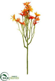 Meadow Daisy Spray - Orange Two Tone - Pack of 12