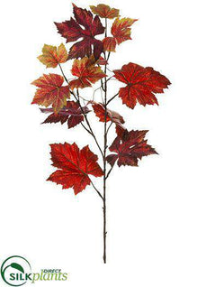 Grape Leaf Spray - Crimson Two Tone - Pack of 12