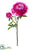 Silk Plants Direct Peony Spray - Beauty Two Tone - Pack of 6