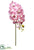 Phalaenopsis Orchid Spray - Lavender Two Tone - Pack of 12