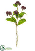 Silk Plants Direct Plastic Berry Spray - Burgundy - Pack of 12