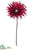 Gerbera Daisy Spray - Burgundy - Pack of 12