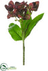 Silk Plants Direct Helleborus Spray - Burgundy - Pack of 12