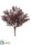 Sedum Bush - Burgundy - Pack of 12