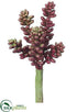 Silk Plants Direct Sedum Pick - Burgundy - Pack of 24