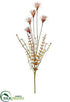 Silk Plants Direct Plastic Wild Seed Pod Spray - Burgundy - Pack of 12