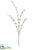 Pussy Willow Spary - Burgundy - Pack of 24