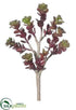 Silk Plants Direct Sedum Pick - Burgundy - Pack of 24