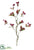 Berry Spray - Red Burgundy - Pack of 12