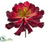 Silk Plants Direct Aeonium Pick - Red Burgundy - Pack of 6