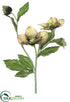 Silk Plants Direct Helleborus Spray - Sage Burgundy - Pack of 12