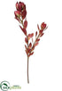 Silk Plants Direct Mini Leucadendron Spray - Brown Burgundy - Pack of 12