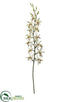 Silk Plants Direct Cymbidium Orchid Spray - Cream Burgundy - Pack of 6