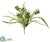 Silk Plants Direct Succulent, Grass Bush - Green Burgundy - Pack of 24