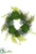 Succulent Garden, Fern Wreath - Green Burgundy - Pack of 2