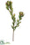 Silk Plants Direct Mini Leucadendron Spray - Green Burgundy - Pack of 12