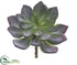 Silk Plants Direct Echeveria Pick - Green Burgundy - Pack of 12