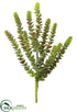 Silk Plants Direct Donkey Tail Pick - Green Burgundy - Pack of 6
