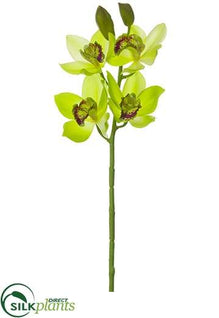 Cymbidium Orchid Spray - Green Burgundy - Pack of 12