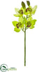 Silk Plants Direct Cymbidium Orchid Spray - Green Burgundy - Pack of 12