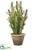 Silk Plants Direct Cactus - Green Burgundy - Pack of 2