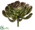 Silk Plants Direct Echeveria Pick - Green Burgundy - Pack of 24