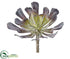 Silk Plants Direct Aeonium Pick - Green Burgundy - Pack of 24