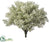 Mini Bud Bush - Green Dusty - Pack of 12