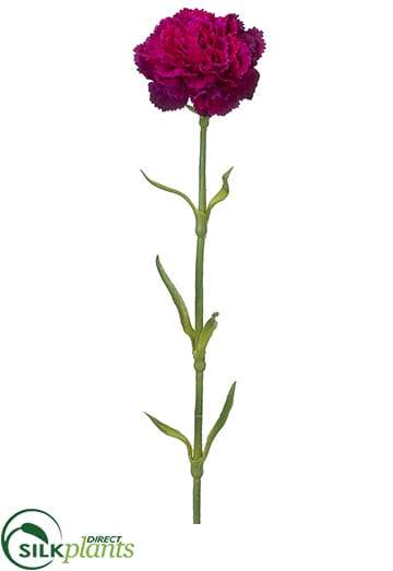 Carnation Spray 10 stem bu - Field of Flowers