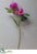 Peony w/Bud Spray - Fuchsia - Pack of 12