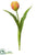Tulip Spray - Yellow Fuchsia - Pack of 12