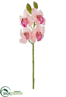 Cymbidium Orchid Spray Fuschia - Pink Fuchsia - Pack of 12