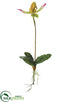 Silk Plants Direct Slipper Orchid Plant - Green Fuchsia - Pack of 12