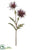 Verona Spider Mum Spray - Purple - Pack of 12