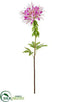 Silk Plants Direct Cleome Spinosa Spray - Purple - Pack of 12