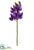 Cymbidium Orchid Spray - Purple - Pack of 12