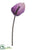 Anthurium Spray - Purple - Pack of 12