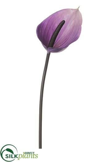 anthurium lilac Silk Plants Direct Anthurium Spray - Purple