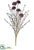 Allium Spray - Purple - Pack of 12