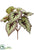 Silk Plants Direct Begonia Leaf Bush - Green Purple - Pack of 12