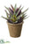 Silk Plants Direct Agave - Green Purple - Pack of 1