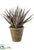 Silk Plants Direct Agave - Green Purple - Pack of 1