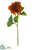 Dahlia Spray - Rust - Pack of 12