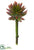 Mini Agave Pick - Green Rust - Pack of 24