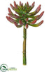 Silk Plants Direct Aeonium Pick - Green Rust - Pack of 12