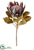 Silk Plants Direct Protea Spray - Coffee - Pack of 6