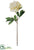 French Peony Spray - Ivory - Pack of 6