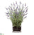 Silk Plants Direct Lavender - Lavender - Pack of 1