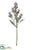 Lavender Spray - Lavender - Pack of 12