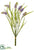 Muscari Bundle - Lavender - Pack of 12